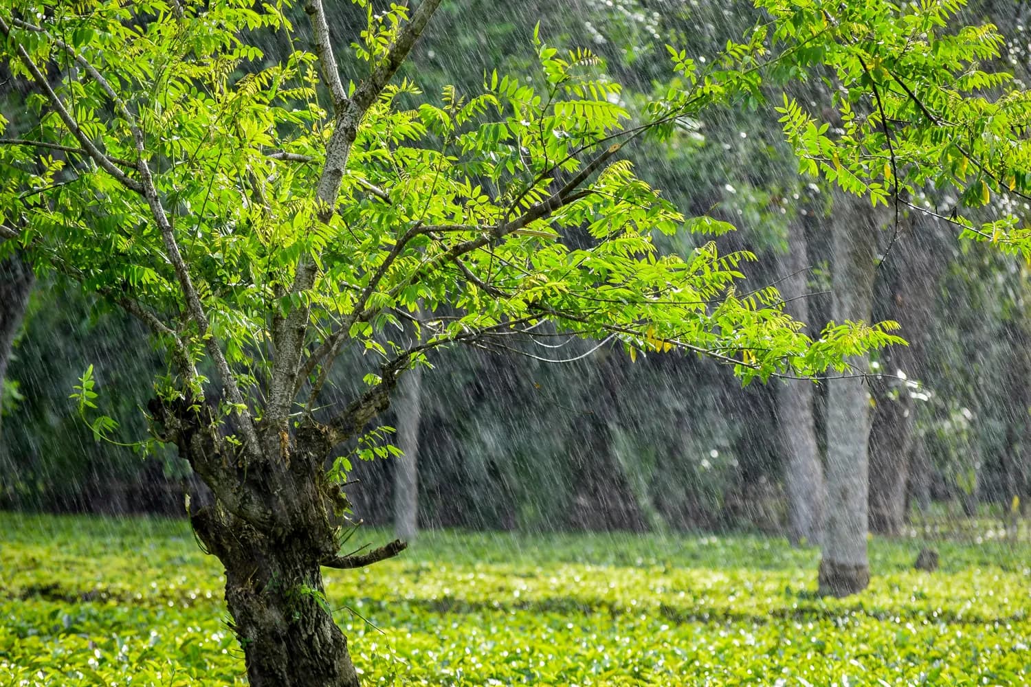 《孟子》里的春风化雨，原来这么有料！