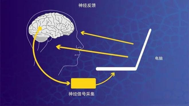 中西医结合治疗ADHD：脑电生物反馈、中医调理与心理干预的协同效应