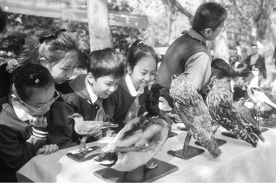 江苏发布10处最佳观鸟胜地 全省鸟类种类达482种
