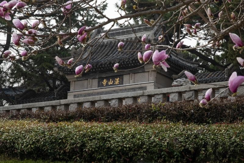 闹市中的一方净土——湛山寺