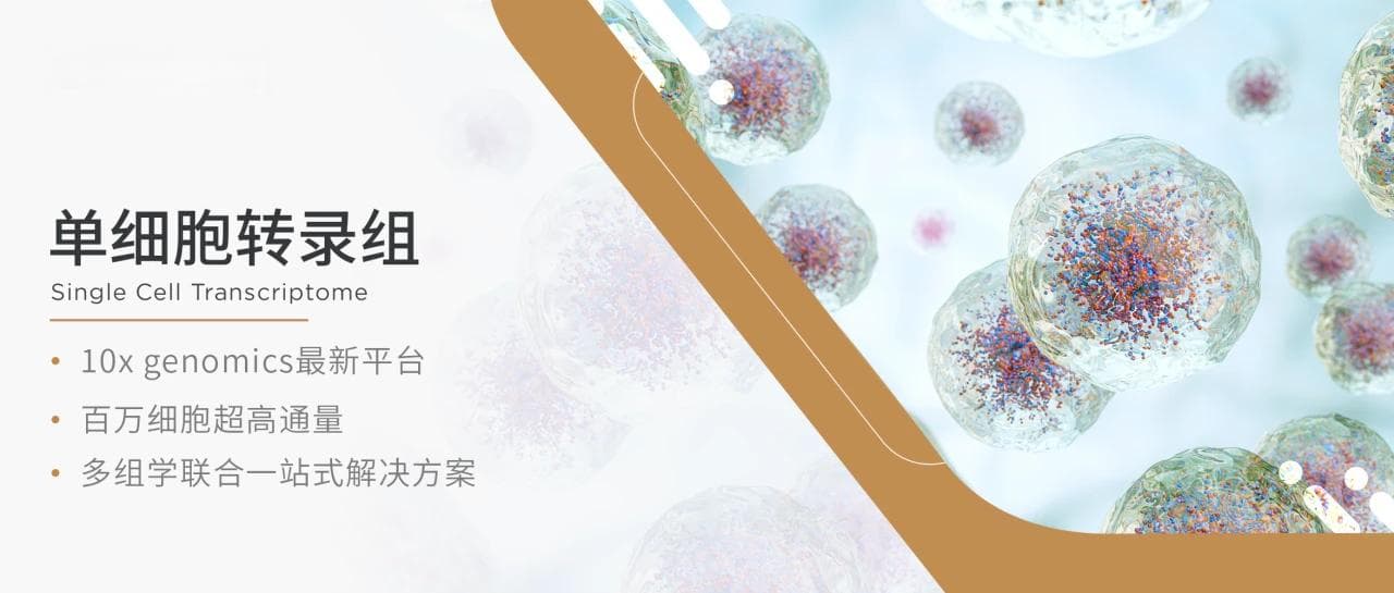 CellRanger单细胞转录组分析结果解读指南