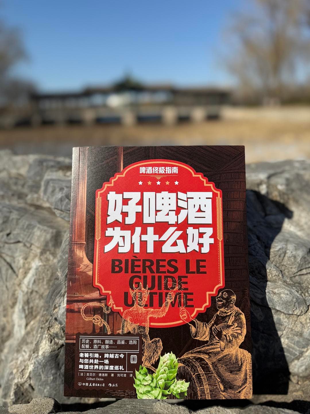 啤酒小白的进阶之路
