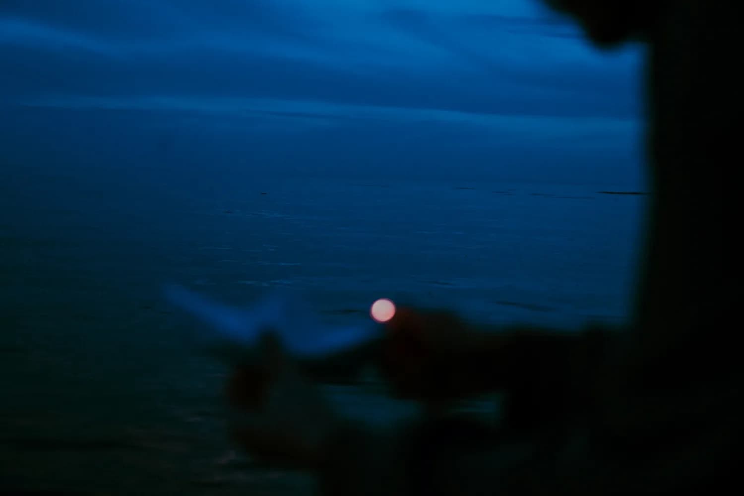 《海边之夜》：下一个爆款影视剧？