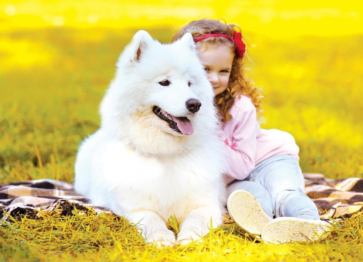 适合室内养的50种动物有哪些 除了猫和狗之外，9种适合家养的小宠物