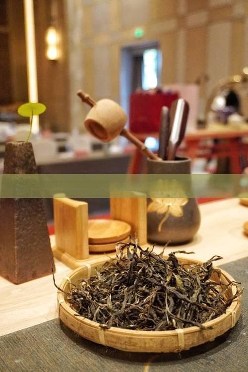 泡过的茶叶去除冰箱异味的效果与方法详解