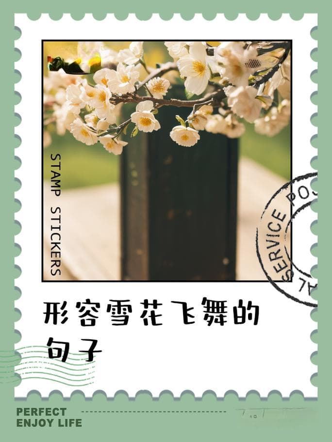 雪花来到人间有哪些变化？雪花落地：六大奇妙蜕变!