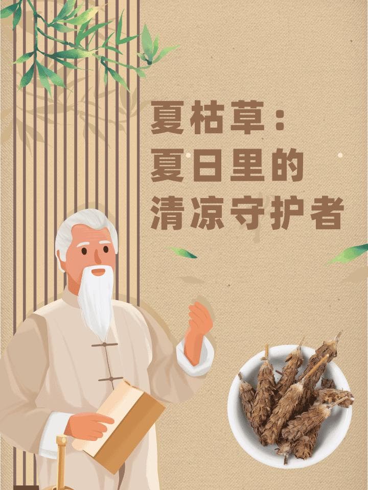 一味夏枯草，清热又明目：中医专家详解使用方法