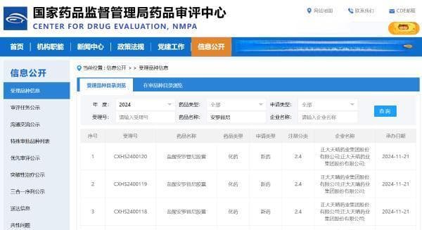 第十个适应症上市申请获受理，安罗替尼抗血管生成联合疗法前景广阔