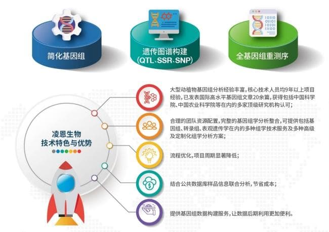 超泛基因组图谱的研究——首个林木树种（杨属）