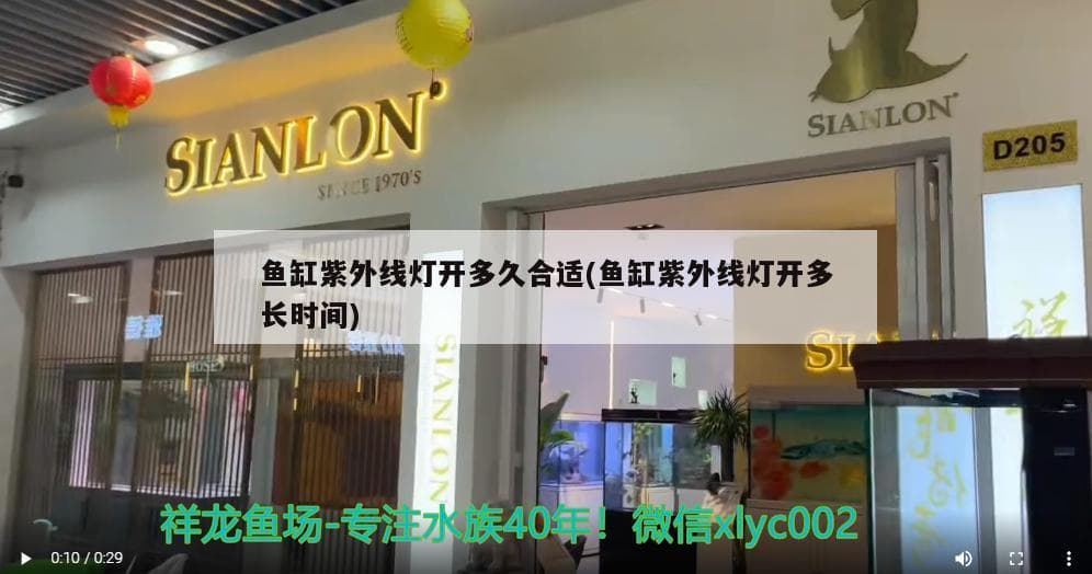 鱼缸紫外线灯开多久合适？全面解析鱼缸杀菌灯使用时长