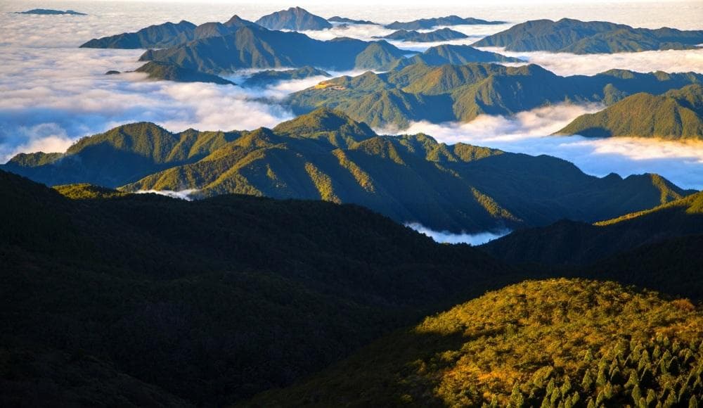 浙江省海拔最高的三座山峰，分别是黄茅尖、百山祖和清凉峰