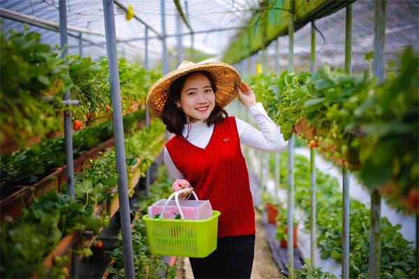 澳币人民币走势分析：近期趋势如何？展望未来？