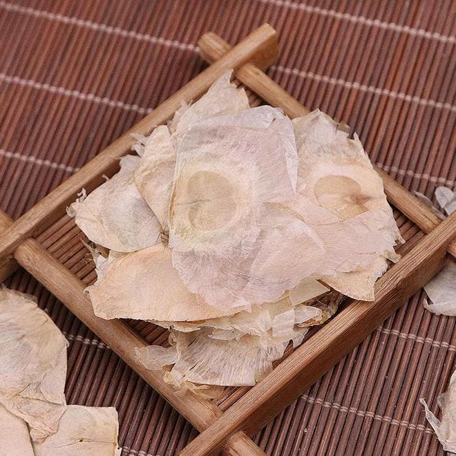 似纸非纸，似蝶非蝶——木蝴蝶