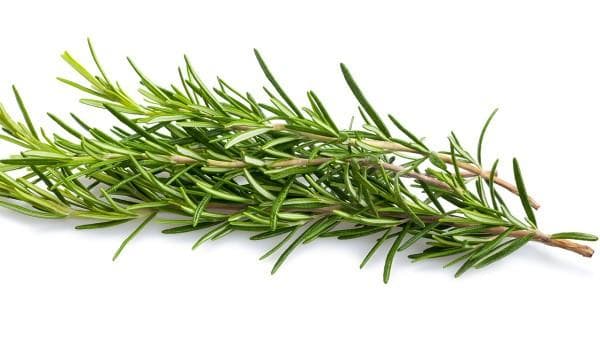 裙带菜的功效和作用 裙带菜营养价值有哪些