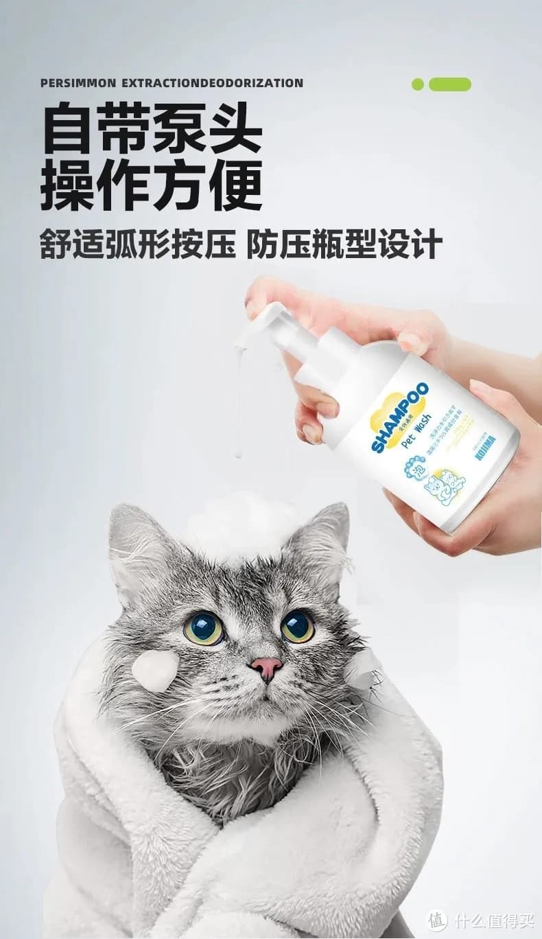 夏日炎炎，猫咪如何避暑？