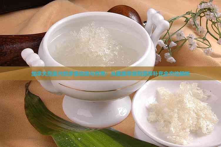 加拿大燕麦片的多重功效与作用：从健康早餐到营养补充全方位解析
