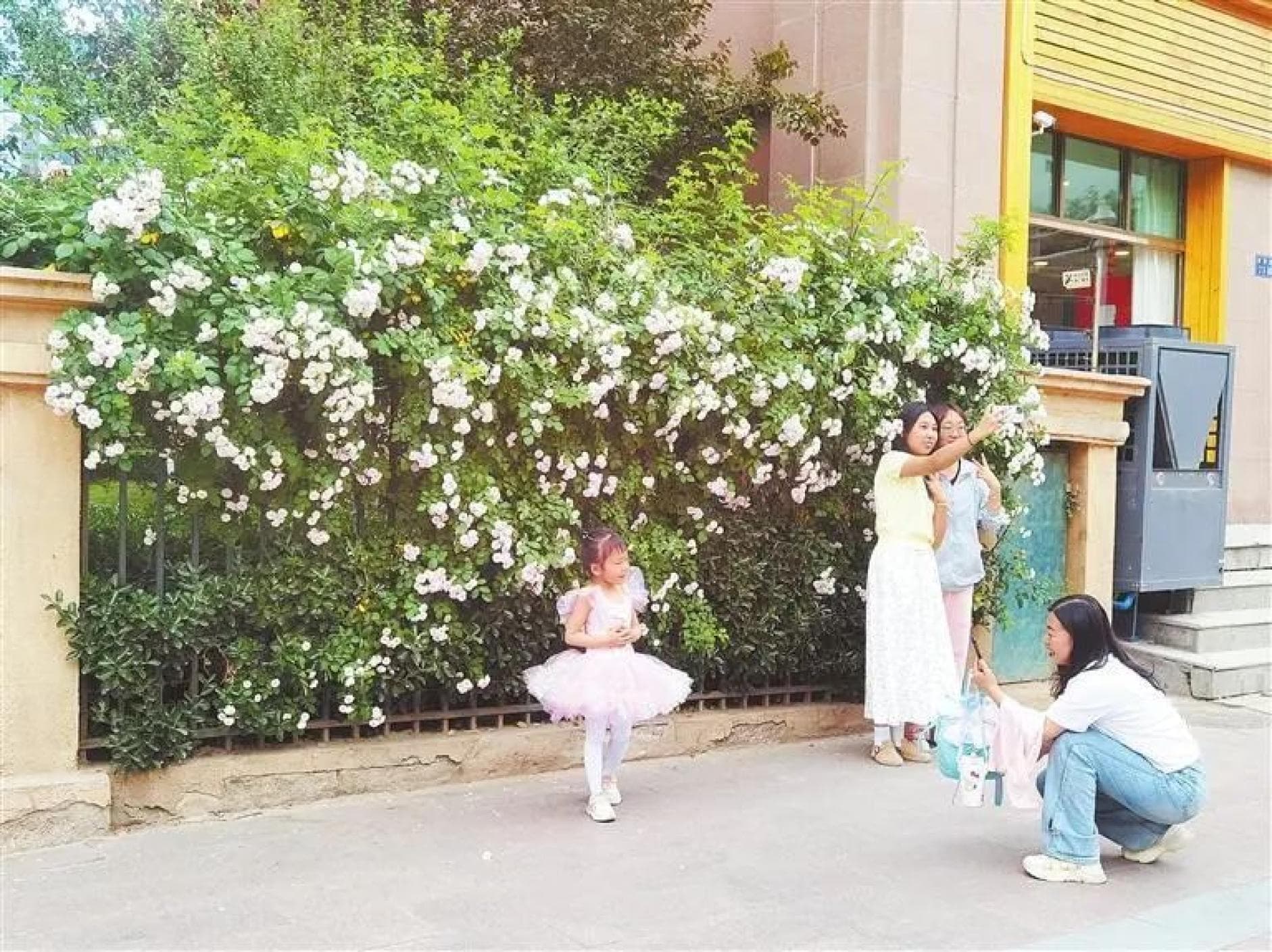 兰州：让城市变花园 为生活添色彩