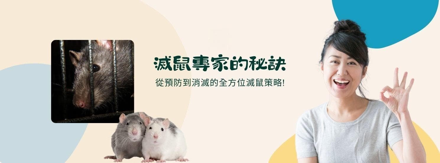 【除/灭鼠】灭鼠专家分享：10个有效消灭老鼠的秘诀！