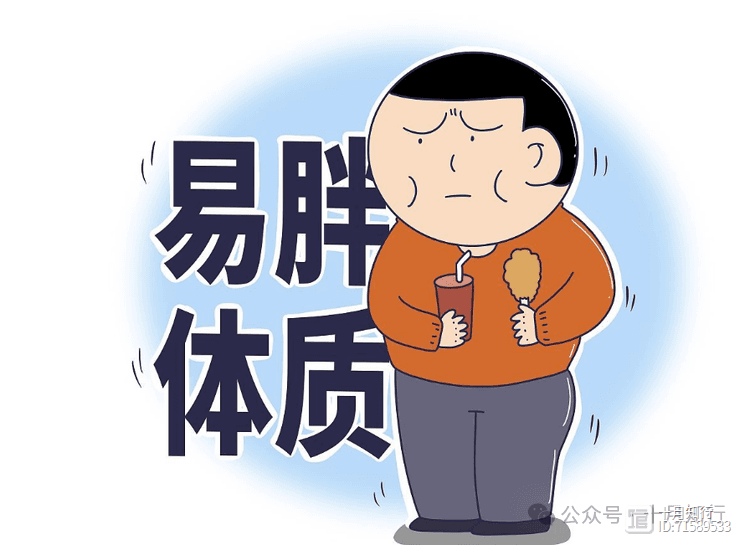 减肥，与其纠结易胖体质，不如养成易瘦的行为习惯