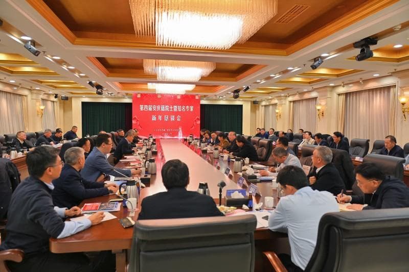 安庆聚焦“双生”产业，铜陵把脉高质量发展，两市恳谈会共谋未来