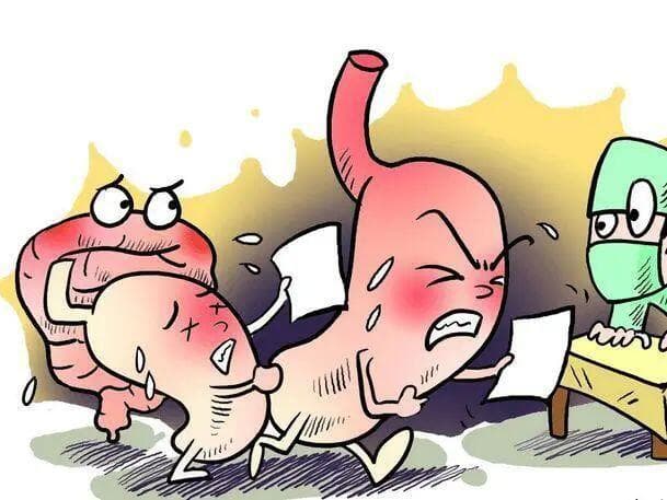 科普：肠胃不好的人必看！这些消化系统小知识你一定想知道~