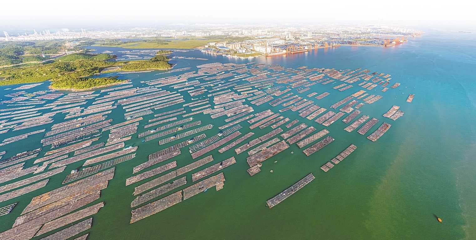 广西实施全国首个海水养殖尾水排放标准，助力海洋生态环境保护
