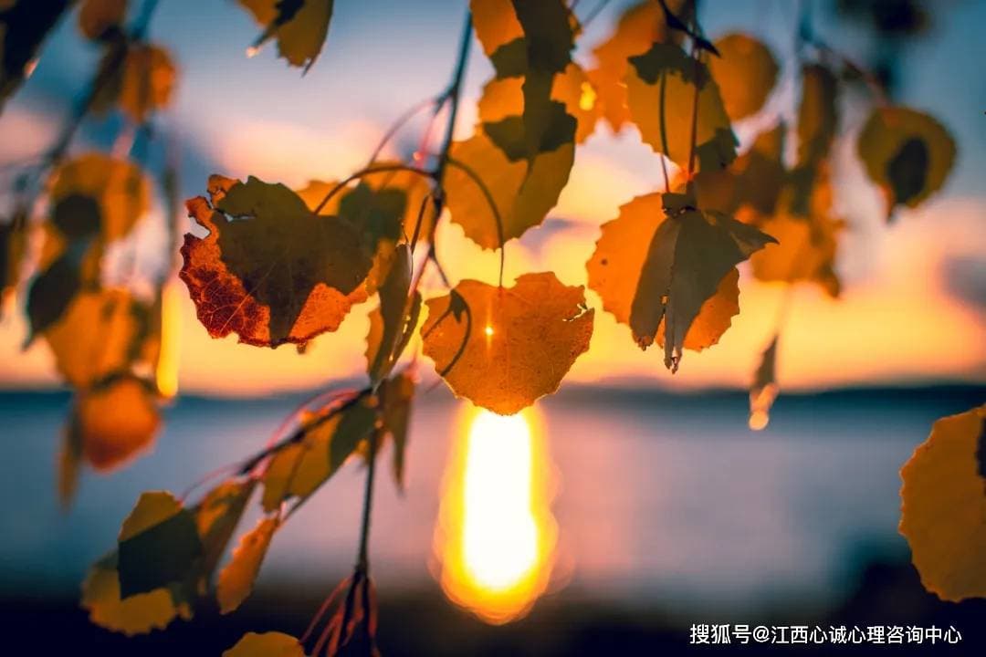 “说教”式的沟通到底好不好？