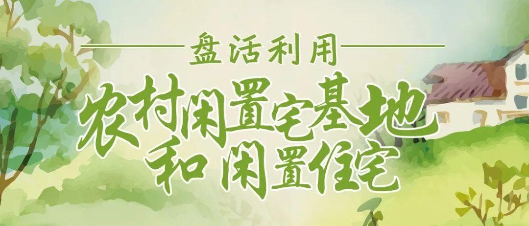 上海渔沥村：生态优先、产业引领、赋能升级，走出乡村振兴新路径