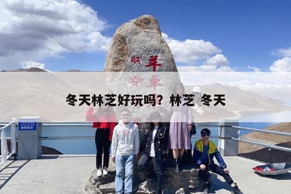 冬天去西藏旅游是否适合自驾游？