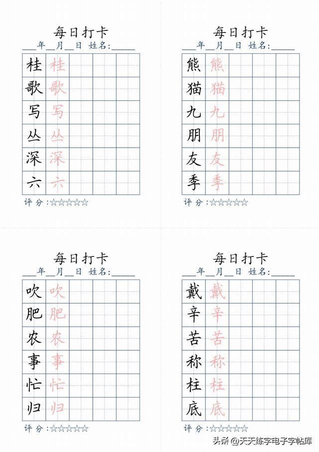 练字从这里开始：一份详尽的入门指南