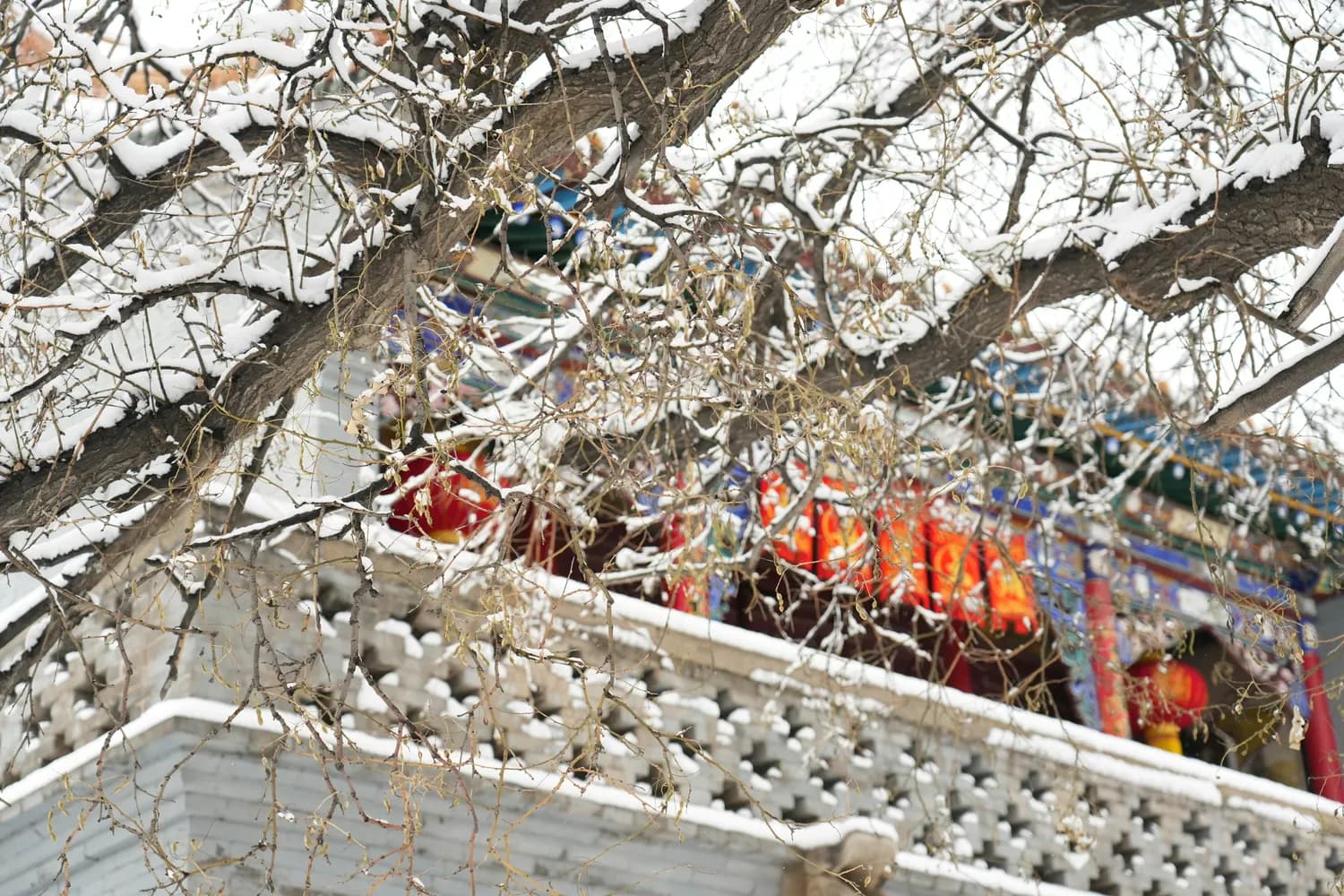 冬日打卡恭王府：半部清朝史尽在其中！