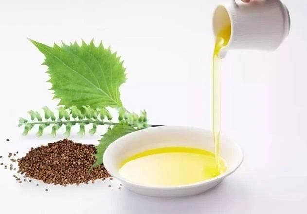 苏子油：在国内活成小透明，却在国外大红大紫