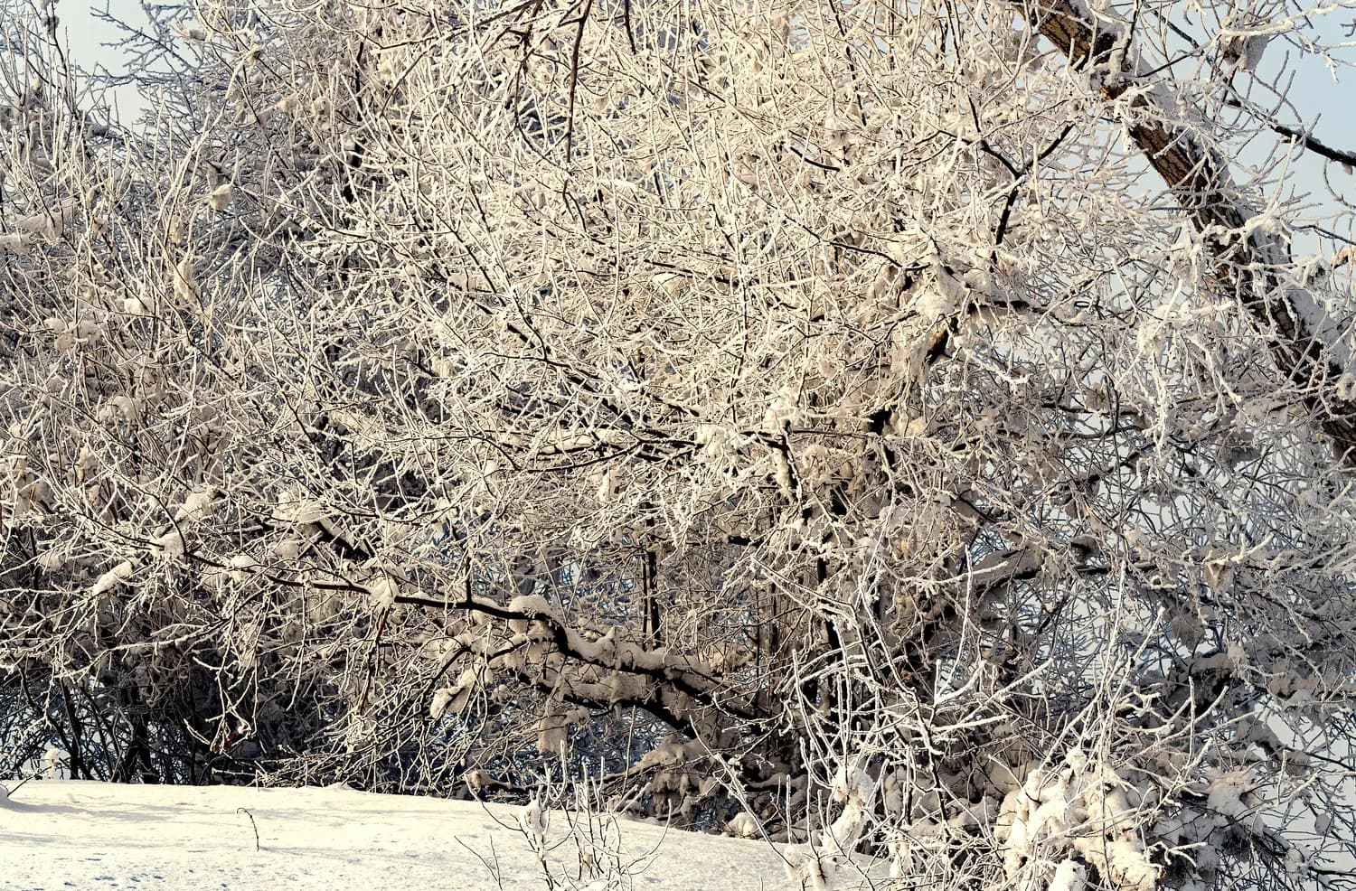 冬游甘肃：十大景点门票半价，莫高窟增开洞窟