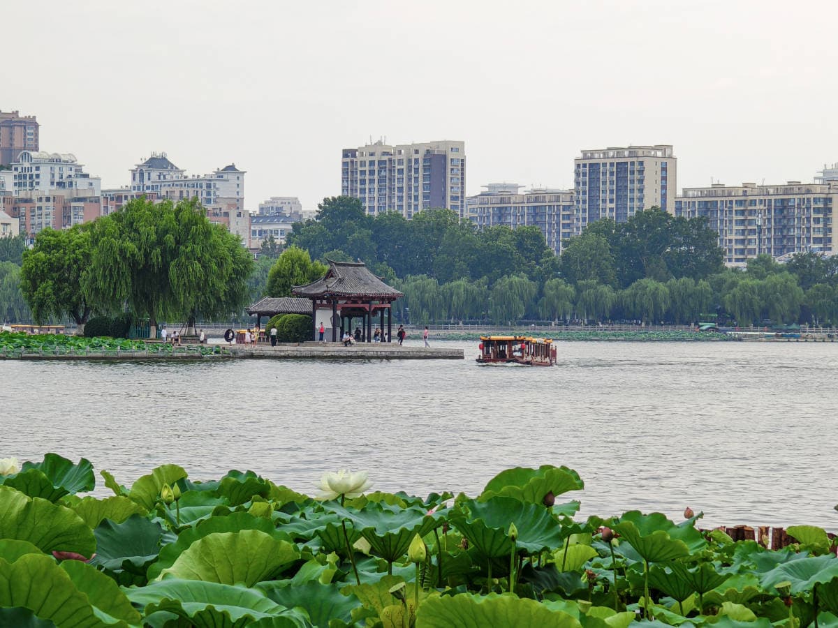 大明湖畔，寻找“泉城”济南的诗意栖居！