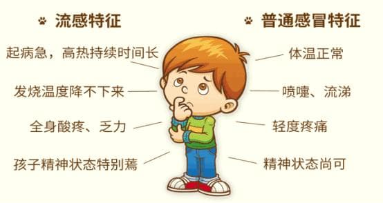 发热头痛是流感？一文详解症状识别与科学应对
