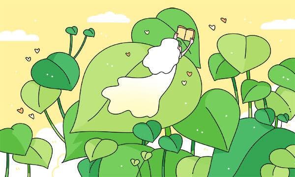 三角形中线定理和性质 相关知识整理