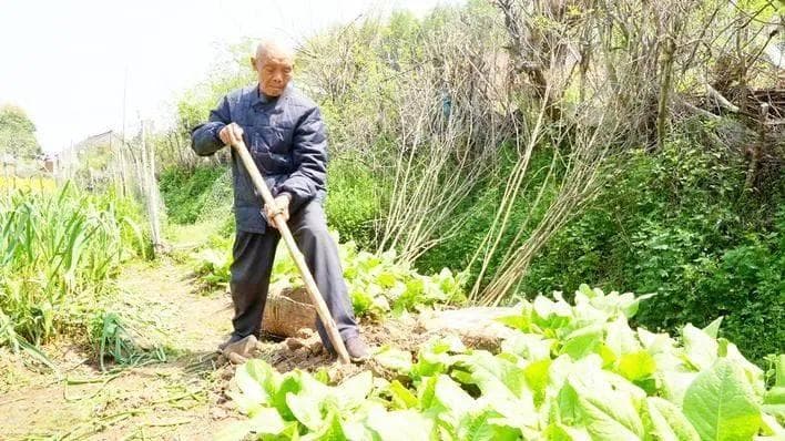 湖北钟祥：124位百岁老人的宜居家园