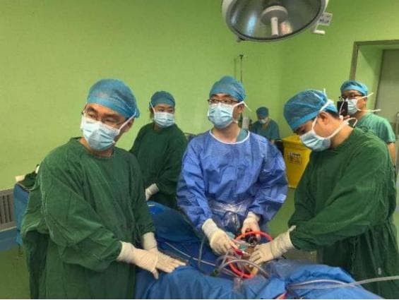 北医三院崇礼院区完成河北省首例胶原蛋白诱导自体软骨成形术