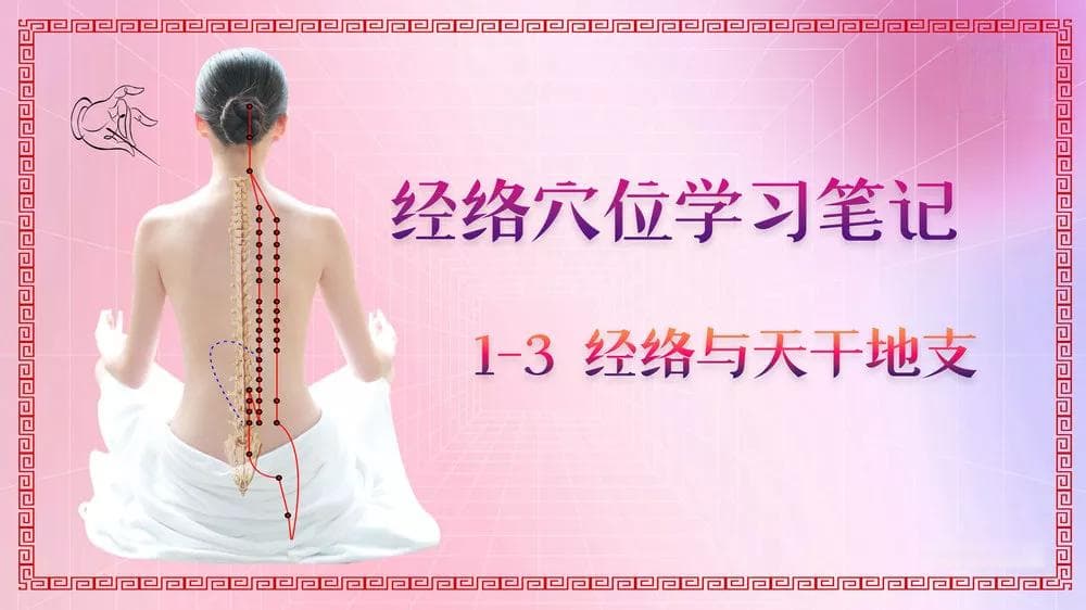 经络与天干地支：中医诊疗与养生中的应用