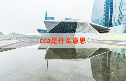 CCA是什么意思？解析与理解