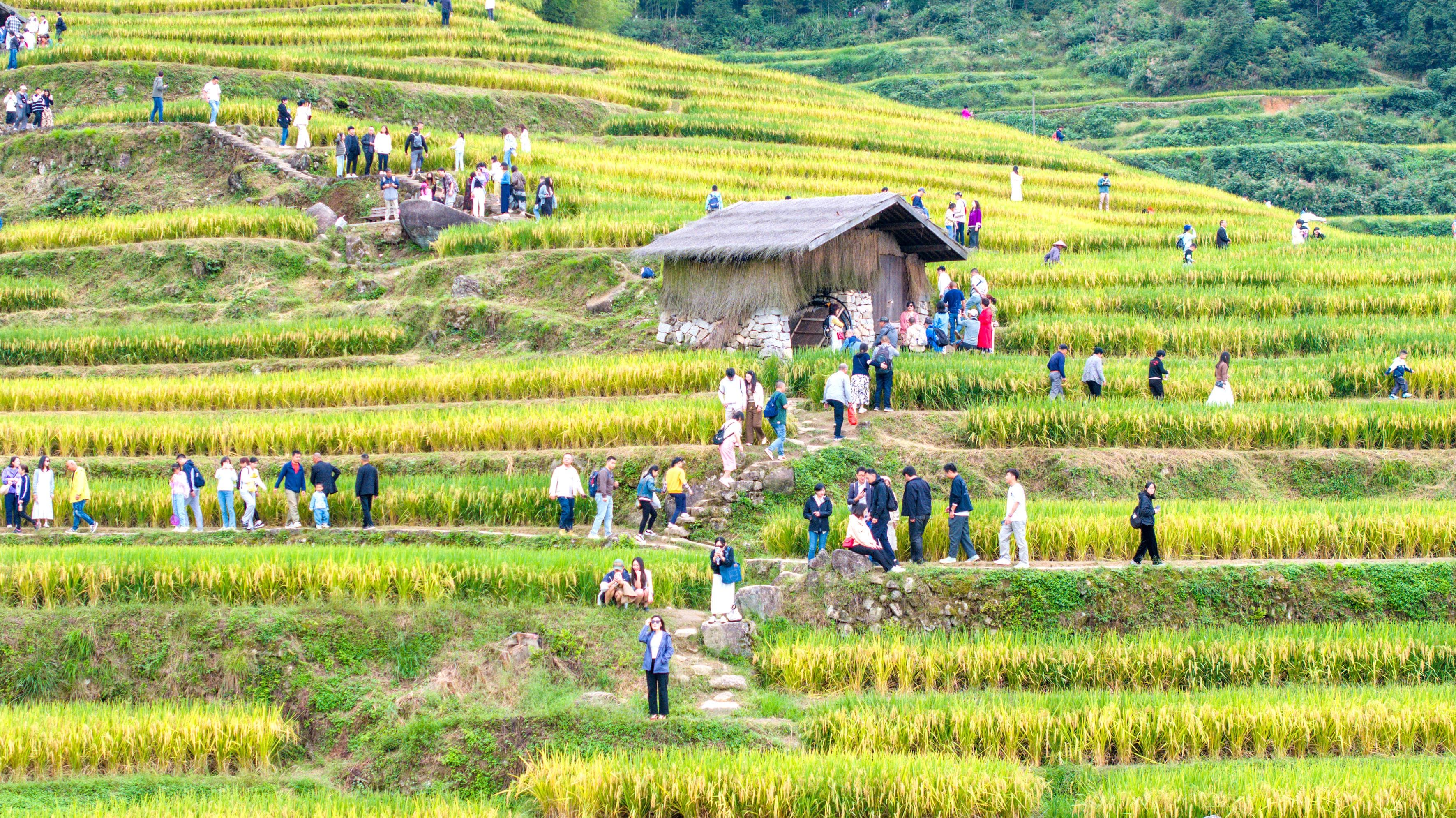 “千层梯田”云和：以文旅融合吸引万名境外游客