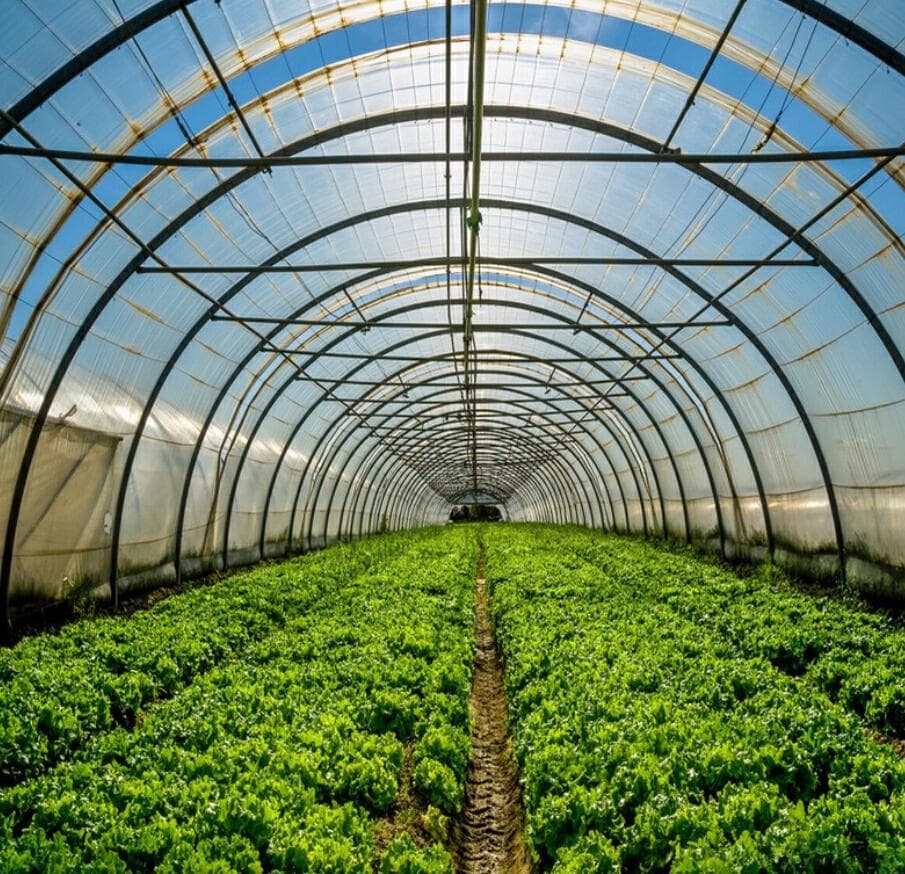 智慧农业之蔬菜水肥一体化：开启农业新未来