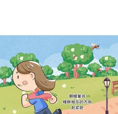 急救蜜蜂蛰伤的要点（掌握正确的应对方法）
