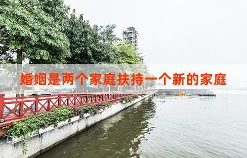 婚姻是两个家庭共同扶持一个新的家庭：深度解读与感悟
