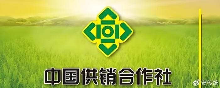 中国供销合作社发展综述：定义、性质、职能及发展历程