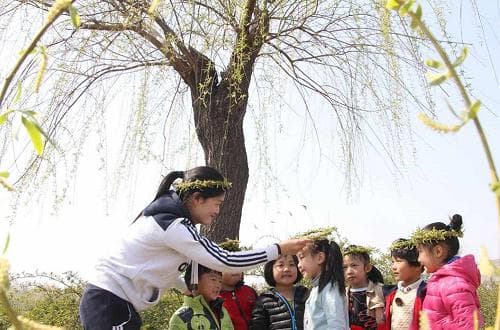 清明节插柳枝的意义是什么？清明节习俗全解析