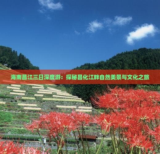 海南昌江三日深度游：探秘昌化江畔自然美景与文化之旅