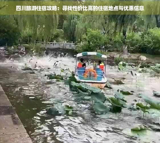 四川旅游住宿攻略：寻找性价比高的住宿地点与优惠信息