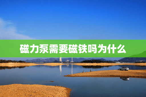 磁力泵需要磁铁吗为什么
