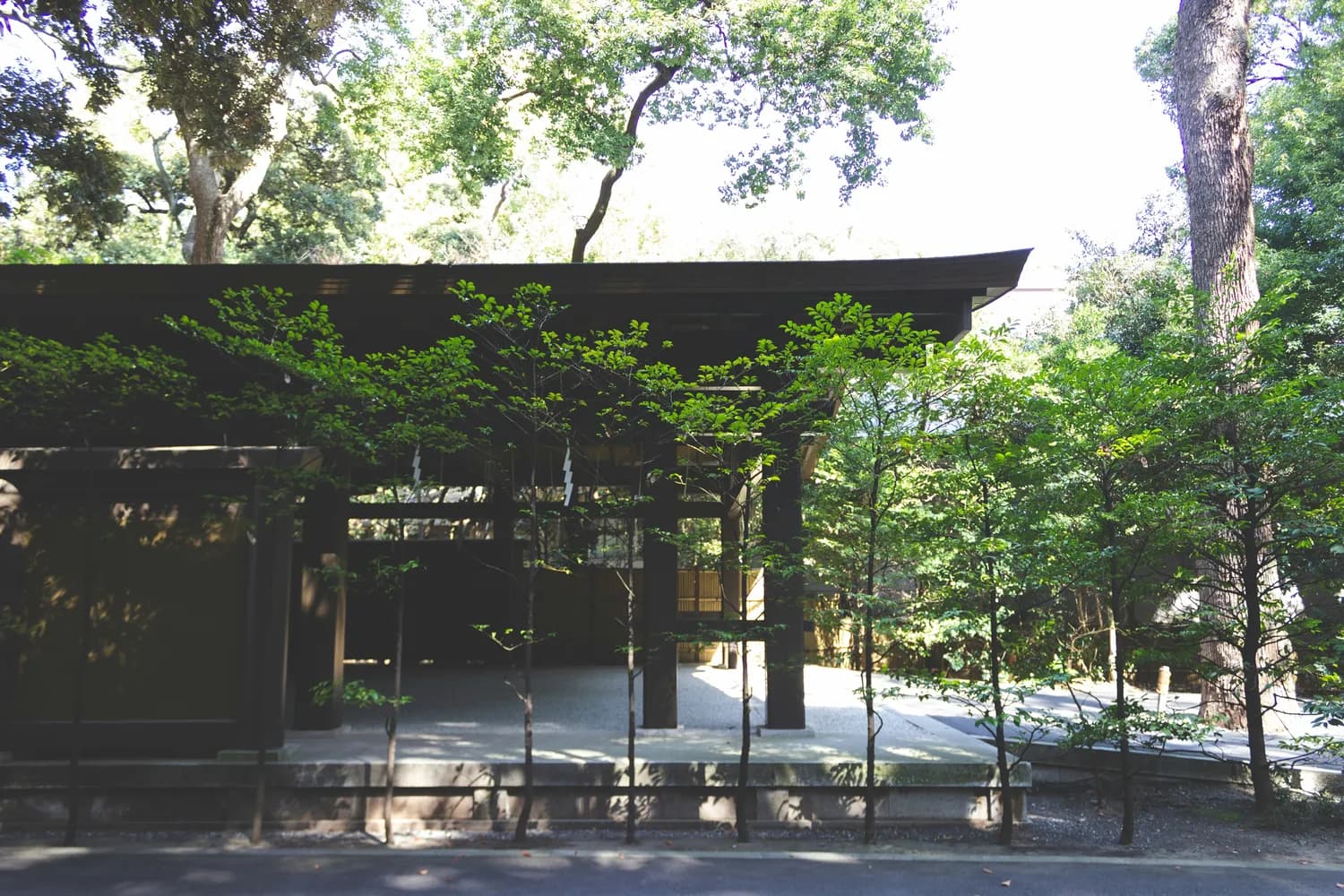 考研数学：轻松掌握向量组的极大无关组